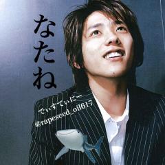 な た ね あ ぶ ら 。はサメ