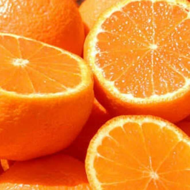 お忍びまりか⊿のトーク