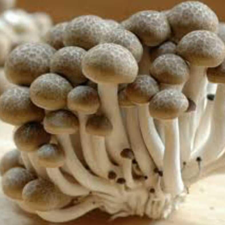 キモイキモイ先輩😱😱😱😱😱😱😱😱😱😱😱😱