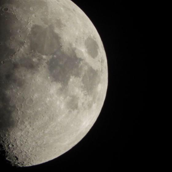 なんてこったぱんなこった。