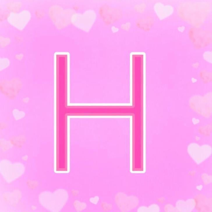 HAM48  チームH