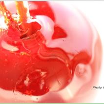 @あいりんご  아이코