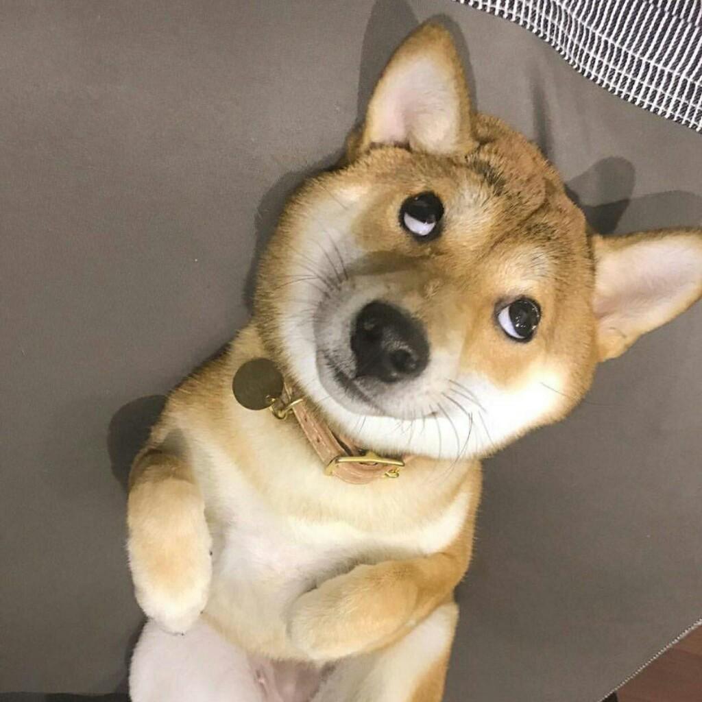 夜明のトーク