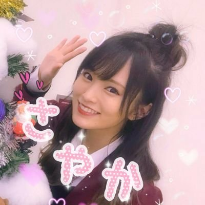 カエデ