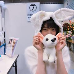 乃木坂を語り合おう