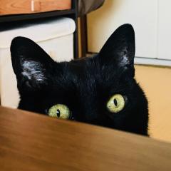 おごう