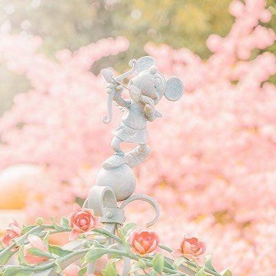 AnjuTanakaのトーク