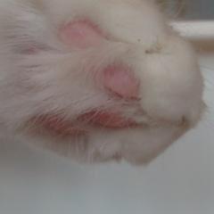 ゆうこうのトーク