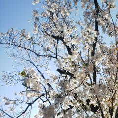 ひでじろ@みうD