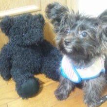 みっくんのトーク