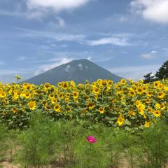 ダテナオト