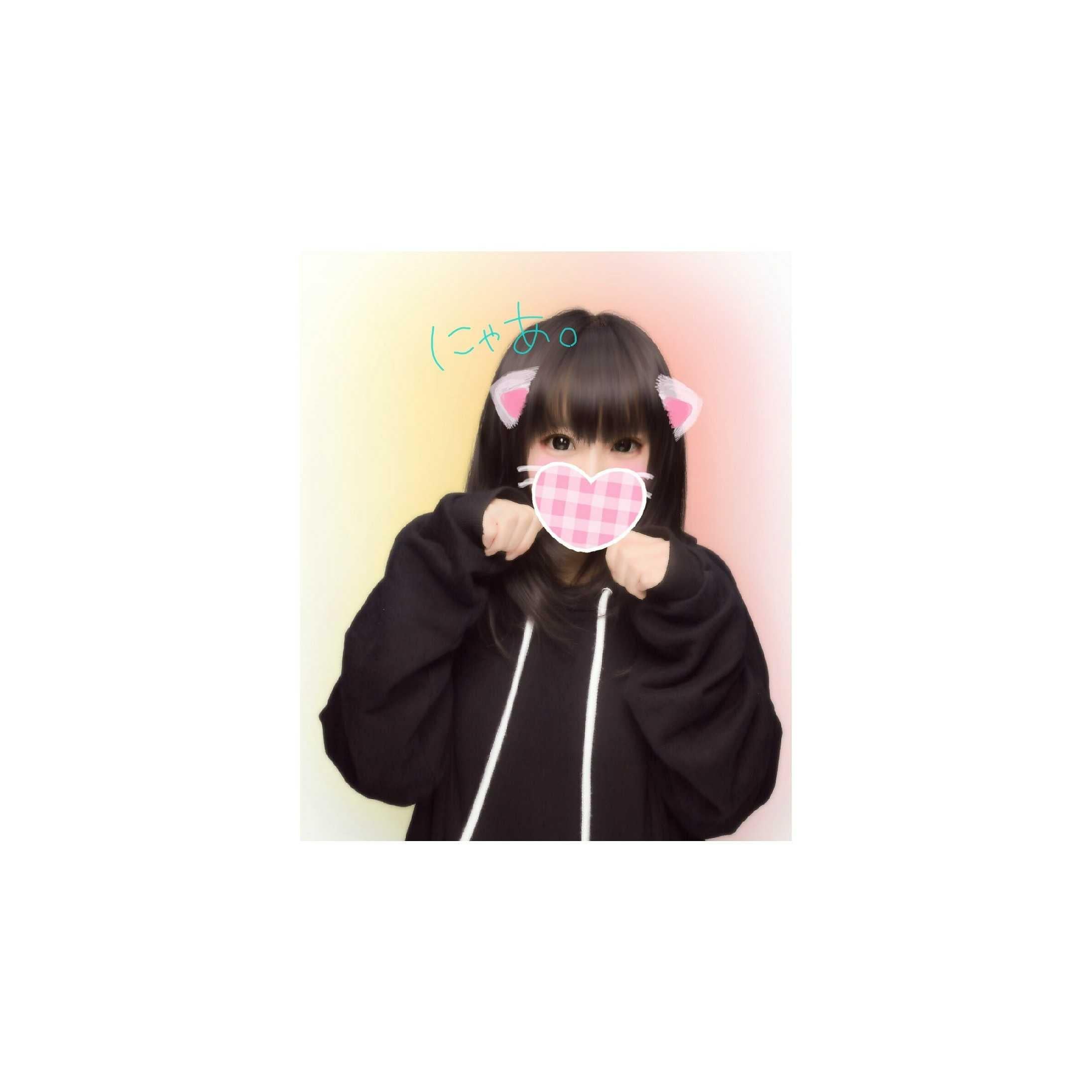 兎猫