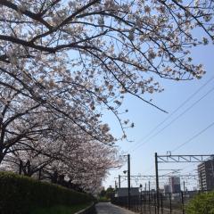 音弥