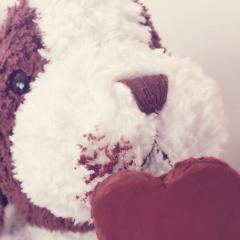 🍯カトリーヌ🍯