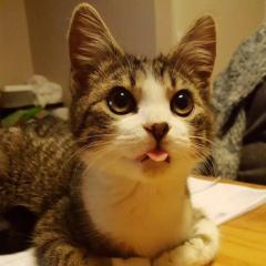 そうちゃん