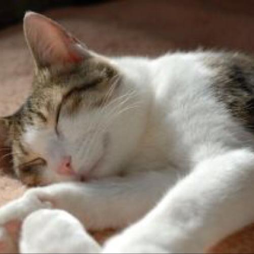 ✨前だけ見つめて✨