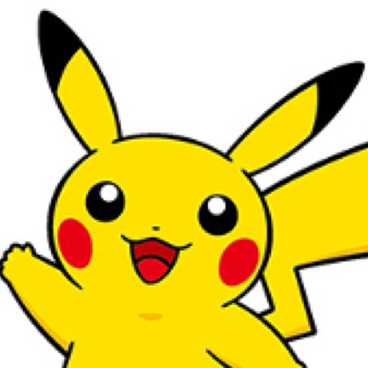 ポケモン好きの匠