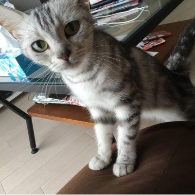 タケモトイサム