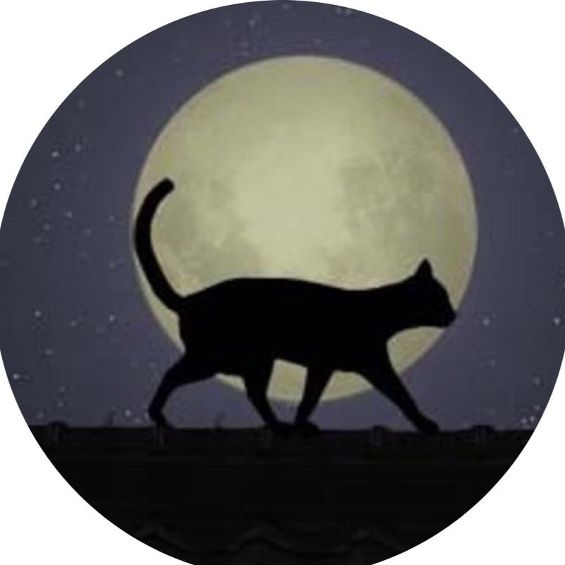 くろねこ🐈⬛⭐︎しもてのピンク⭐︎
