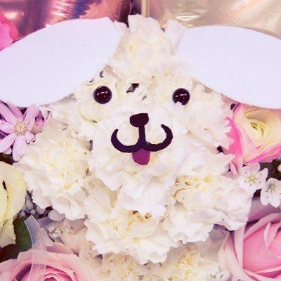 こうせい