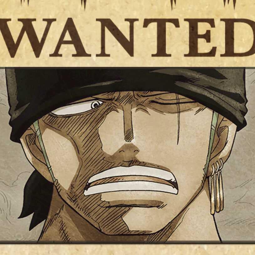 ワンピ好き腐女子さん集合！