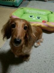 加藤多恵子のトーク