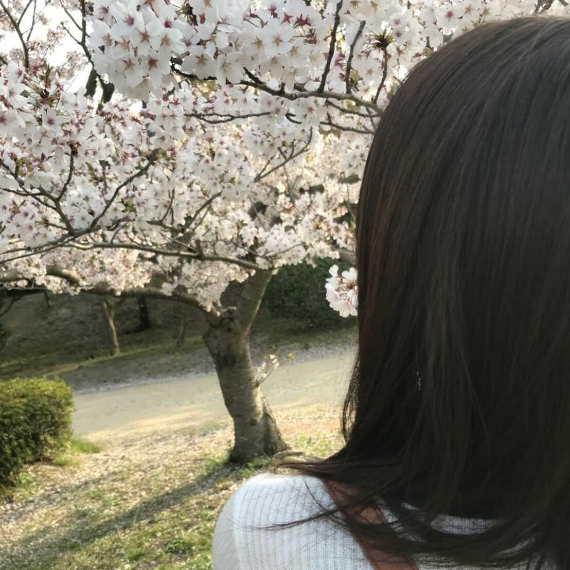 ばんび@顎たけ焼きが食べたいバンギャ。のトーク