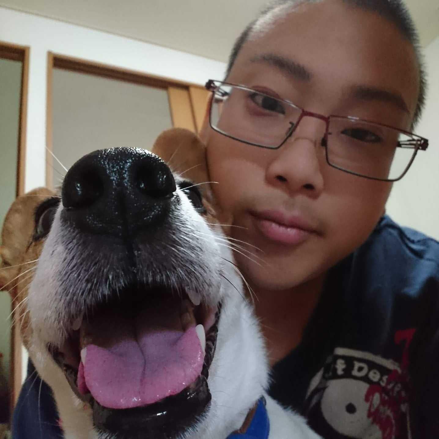 ハマ