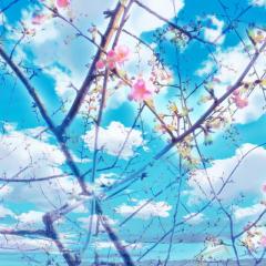 늘보(ヌルーボ)