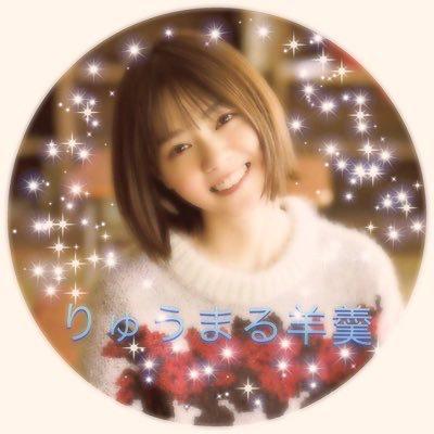 りゅうまる羊羹