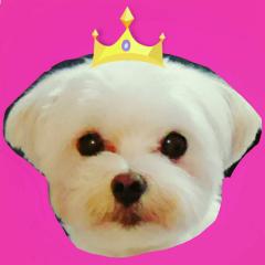☆まみ☆のトーク