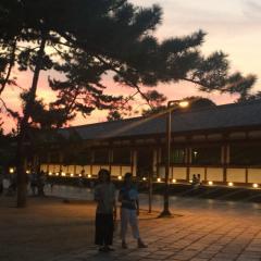 かものぼちぼち写真館