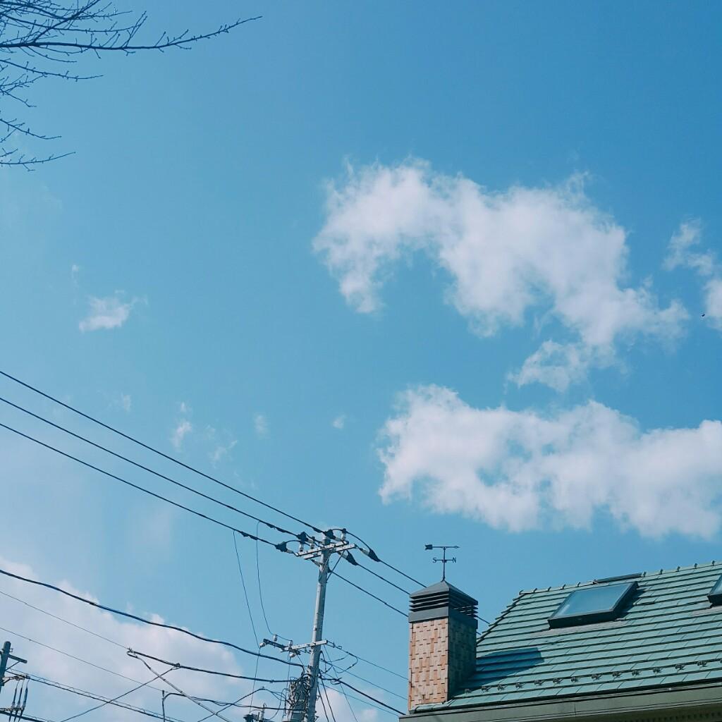 ｓｏｒａ