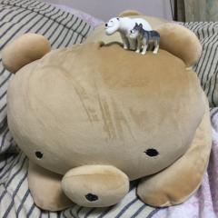 くま🐻