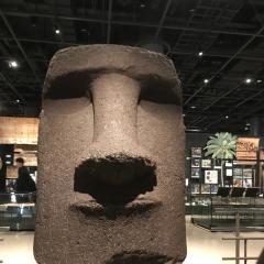 れっつちょもらんま。