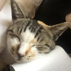 まーさんのトーク