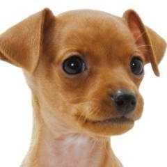 いついなくなるだろね…