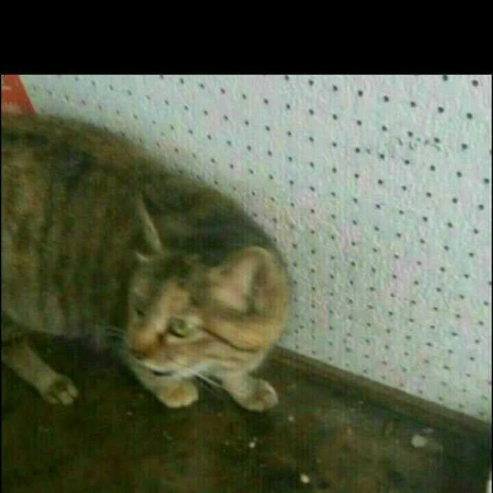 倉庫
