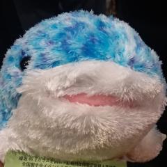 YOHさん