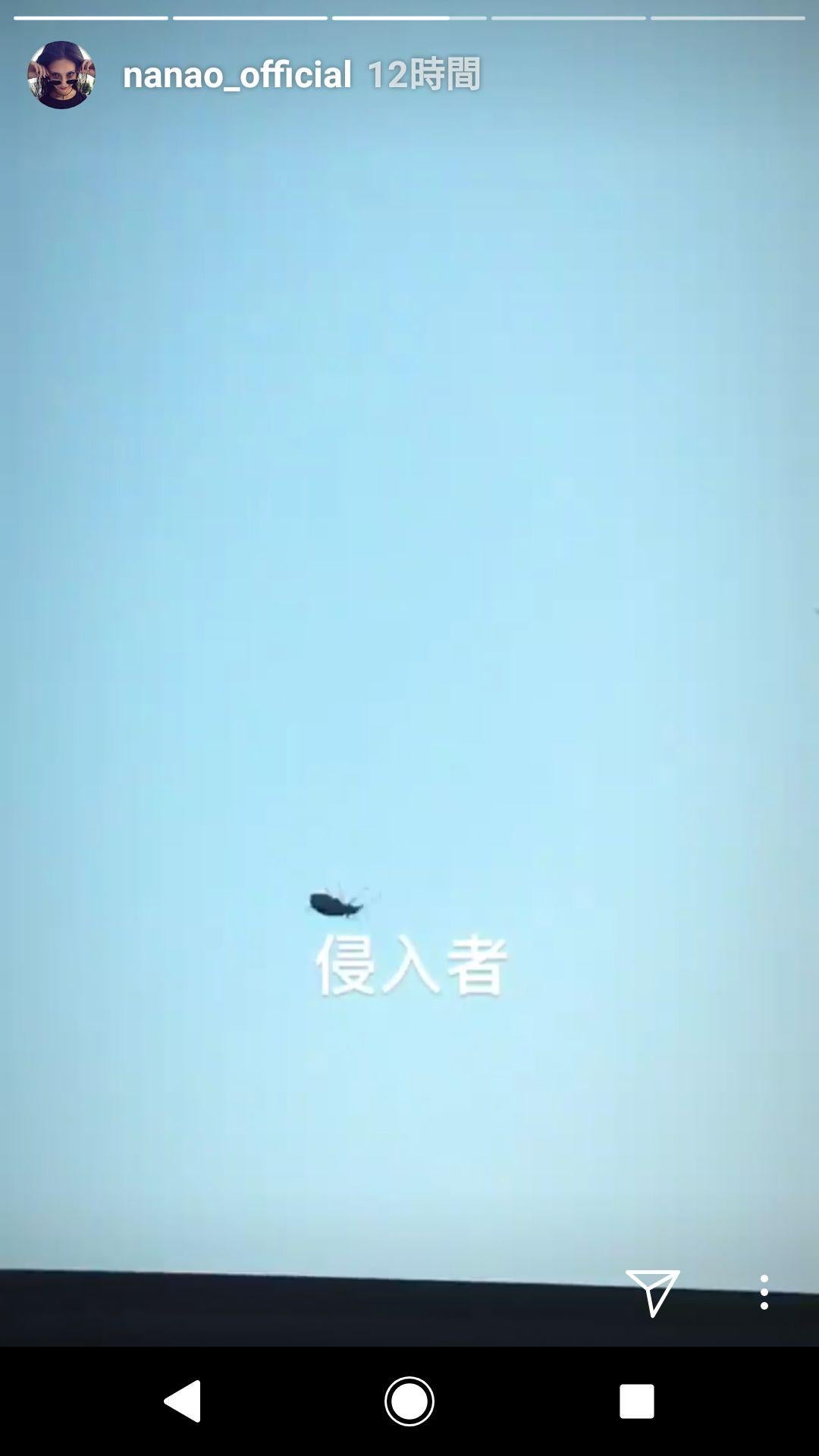 投稿画像