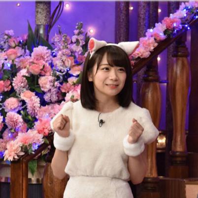 🐈🐈猫耳🐈🐈