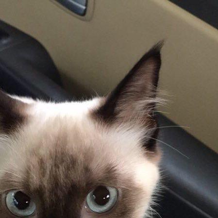 しゅうのトーク