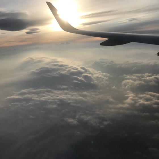 それが全てではない notall