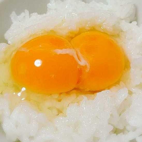 ［  'ω'  ］みはねのトーク