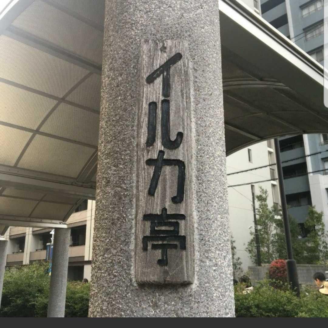 イルカ