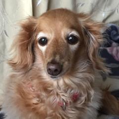 ひでじぃのトーク