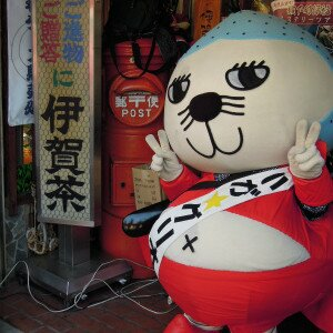 P-DOG