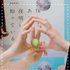 🍈🍈🍈🍈🍈メロン