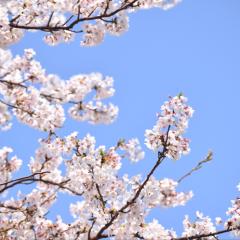 こうちゃそのトーク