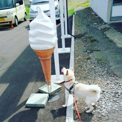 みっき